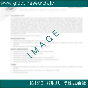 グローバルリサーチ調査資料のイメージ